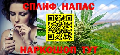 гашик Чебаркуль